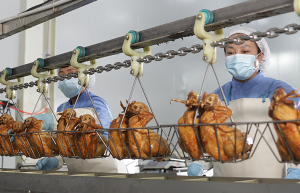 德州扒鸡哪家正宗？凤起牌扒鸡三十年传承技艺成行业新宠